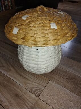 Hobby Lobby Two-Tone Woven Mushroom Accent Basket in Brown and White